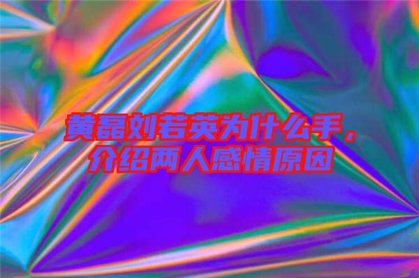 黃磊劉若英為什么手，介紹兩人感情原因