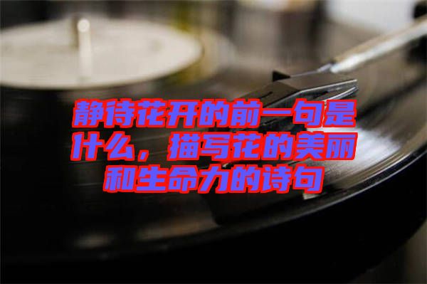 靜待花開的前一句是什么，描寫花的美麗和生命力的詩句