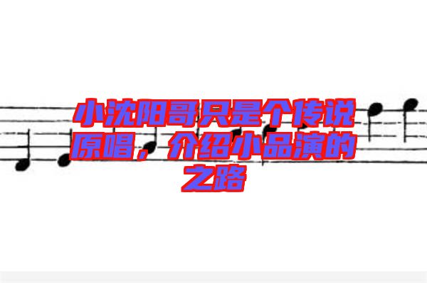 小沈陽哥只是個(gè)傳說原唱，介紹小品演的之路