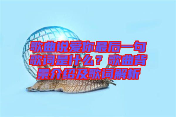 歌曲說(shuō)愛你最后一句歌詞是什么？歌曲背景介紹及歌詞解析