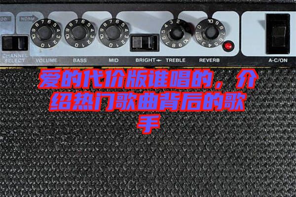 愛(ài)的代價(jià)版誰(shuí)唱的，介紹熱門歌曲背后的歌手