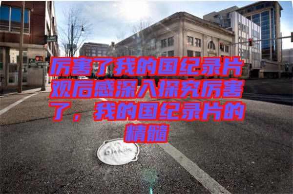 厲害了我的國紀(jì)錄片觀后感深入探究厲害了，我的國紀(jì)錄片的精髓