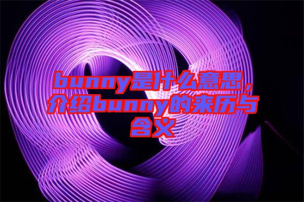 bunny是什么意思，介紹bunny的來(lái)歷與含義