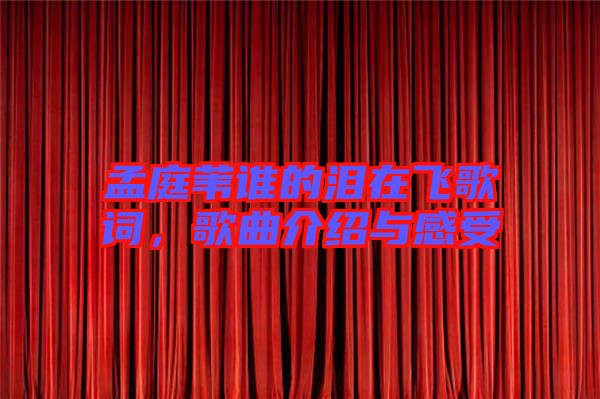孟庭葦誰(shuí)的淚在飛歌詞，歌曲介紹與感受