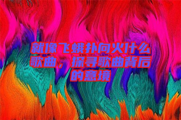 就像飛蛾撲向火什么歌曲，探尋歌曲背后的意境