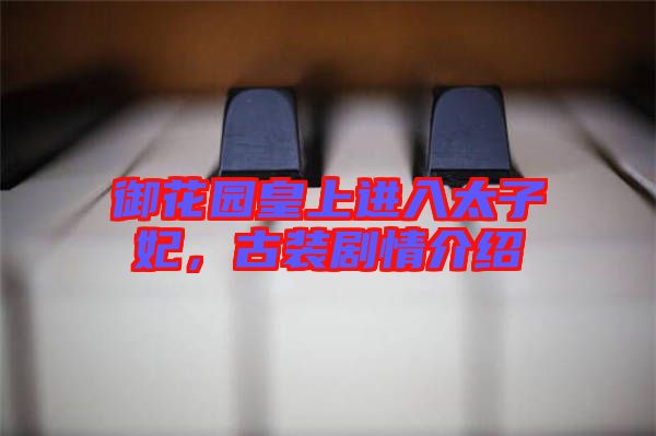 御花園皇上進(jìn)入太子妃，古裝劇情介紹