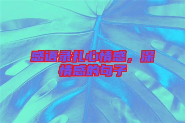 感語錄扎心情感，深情感的句子