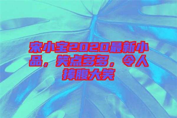 宋小寶2020最新小品，笑點(diǎn)多多，令人捧腹大笑