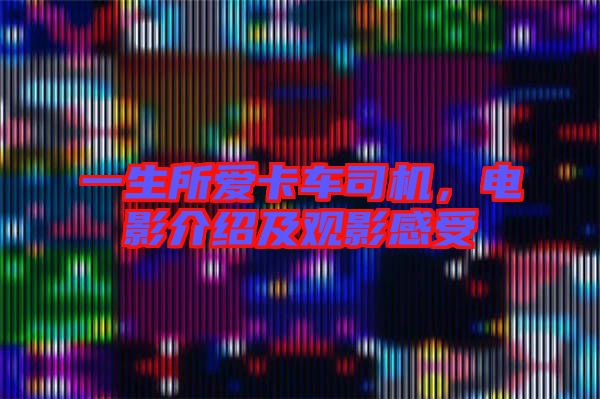 一生所愛卡車司機，電影介紹及觀影感受