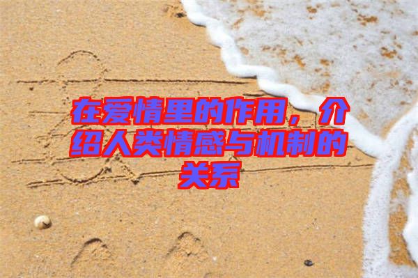 在愛情里的作用，介紹人類情感與機(jī)制的關(guān)系