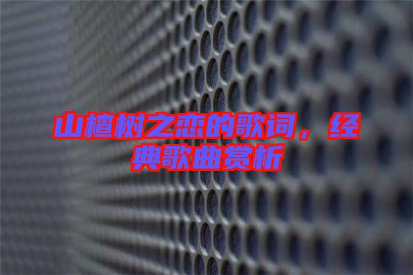 山楂樹之戀的歌詞，經(jīng)典歌曲賞析