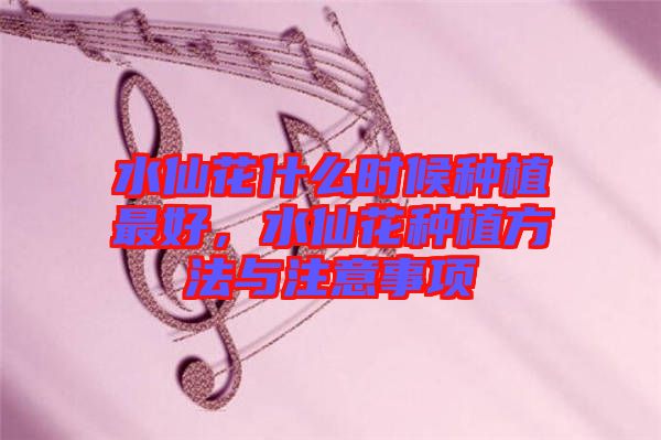 水仙花什么時候種植最好，水仙花種植方法與注意事項