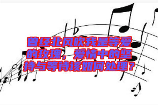 曾經(jīng)北風(fēng)吹我是等愛的玫瑰，愛情中的堅持與等待該如何處理？
