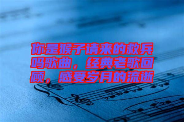你是猴子請來的救兵嗎歌曲，經(jīng)典老歌回顧，感受歲月的流逝