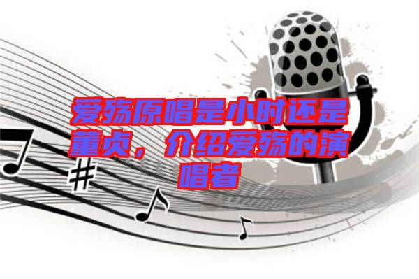 愛(ài)殤原唱是小時(shí)還是董貞，介紹愛(ài)殤的演唱者