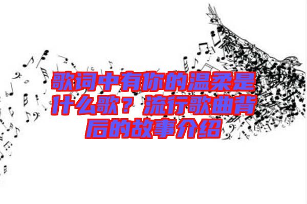 歌詞中有你的溫柔是什么歌？流行歌曲背后的故事介紹