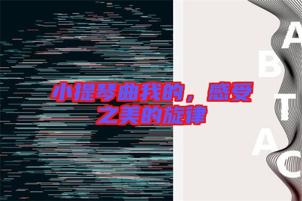 小提琴曲我的，感受之美的旋律