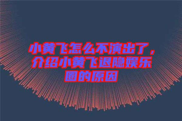 小黃飛怎么不演出了，介紹小黃飛退隱娛樂圈的原因