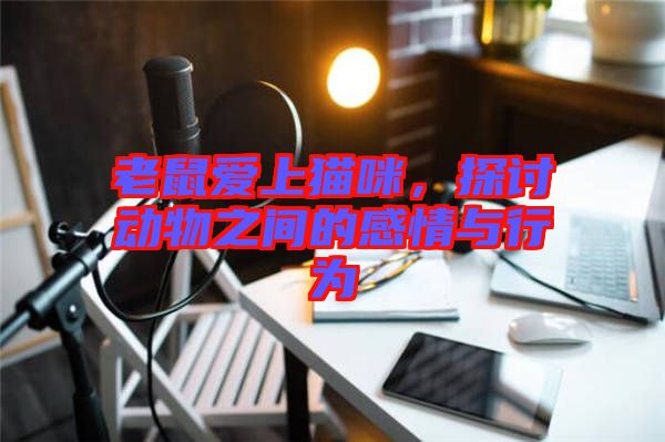 老鼠愛上貓咪，探討動物之間的感情與行為