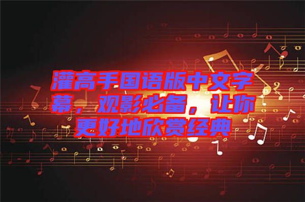 灌高手國語版中文字幕，觀影必備，讓你更好地欣賞經(jīng)典