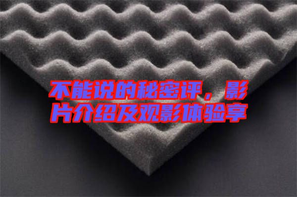 不能說的秘密評(píng)，影片介紹及觀影體驗(yàn)享