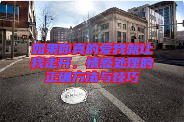 如果你真的愛我就讓我走開，情感處理的正確方法與技巧
