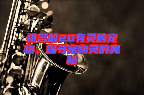 排名前20有靈的寵物，探尋寵物靈的奧秘