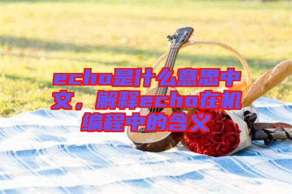 echo是什么意思中文，解釋echo在機(jī)編程中的含義