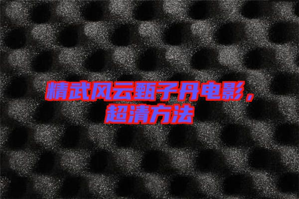 精武風(fēng)云甄子丹電影，超清方法