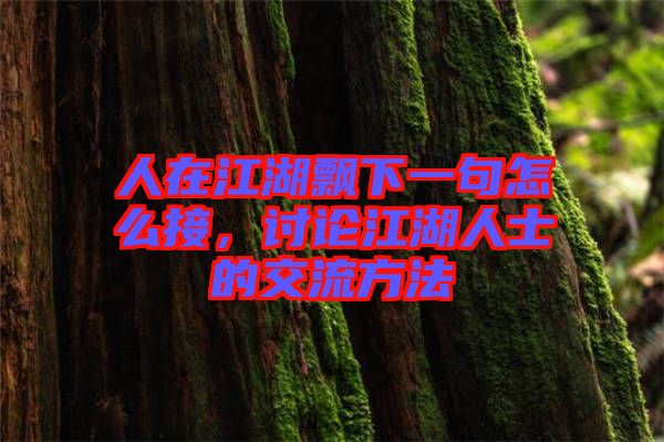 人在江湖飄下一句怎么接，討論江湖人士的交流方法