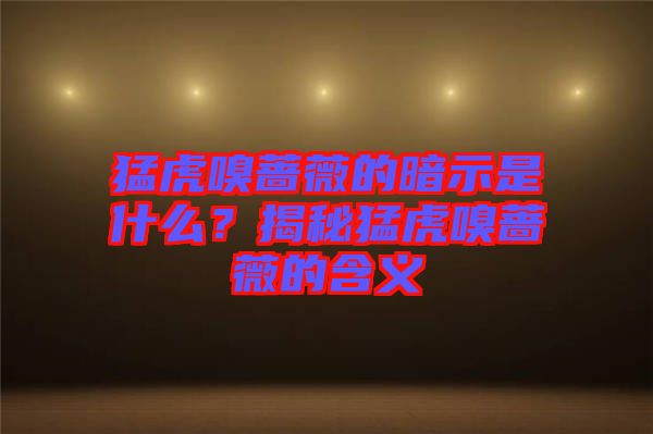 猛虎嗅薔薇的暗示是什么？揭秘猛虎嗅薔薇的含義