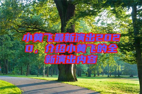小黃飛最新演出2020，介紹小黃飛的全新演出內(nèi)容