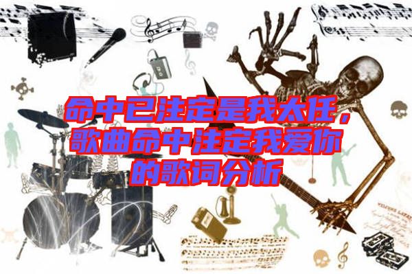 命中已注定是我太任，歌曲命中注定我愛你的歌詞分析