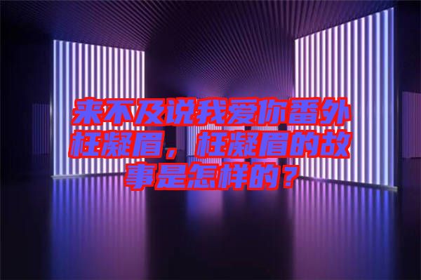 來不及說我愛你番外枉凝眉，枉凝眉的故事是怎樣的？