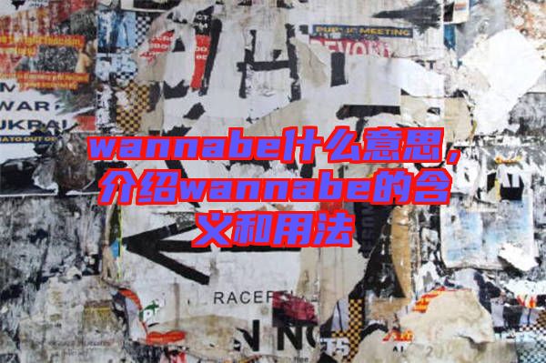 wannabe什么意思，介紹wannabe的含義和用法