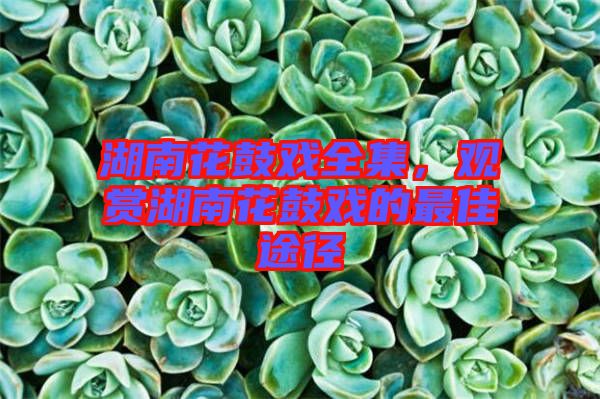 湖南花鼓戲全集，觀賞湖南花鼓戲的最佳途徑