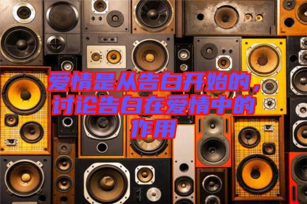 愛(ài)情是從告白開(kāi)始的，討論告白在愛(ài)情中的作用