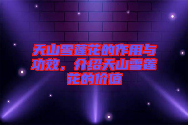 天山雪蓮花的作用與功效，介紹天山雪蓮花的價(jià)值