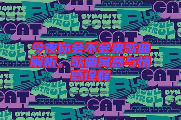 今夜你會不會來歌曲解析，歌曲寓意與情感詮釋