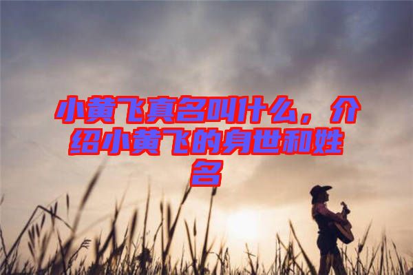 小黃飛真名叫什么，介紹小黃飛的身世和姓名