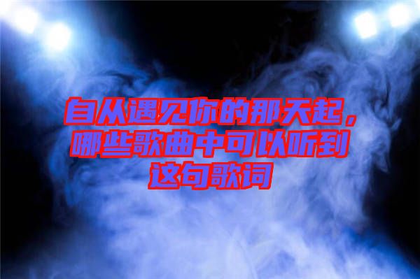 自從遇見你的那天起，哪些歌曲中可以聽到這句歌詞