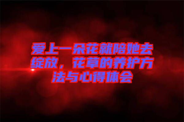 愛上一朵花就陪她去綻放，花草的養(yǎng)護方法與心得體會