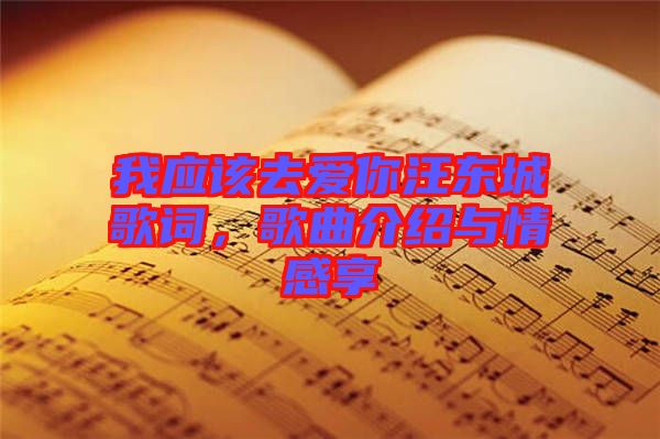 我應(yīng)該去愛(ài)你汪東城歌詞，歌曲介紹與情感享