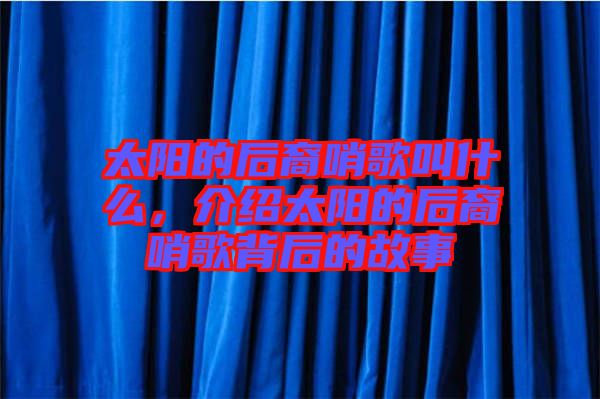 太陽(yáng)的后裔哨歌叫什么，介紹太陽(yáng)的后裔哨歌背后的故事