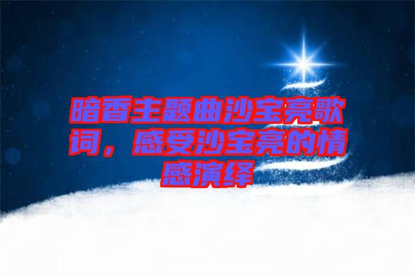 暗香主題曲沙寶亮歌詞，感受沙寶亮的情感演繹