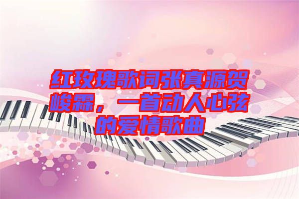 紅玫瑰歌詞張真源賀峻霖，一首動人心弦的愛情歌曲