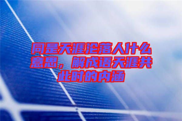 同是天涯淪落人什么意思，解成語天涯共此時的內(nèi)涵