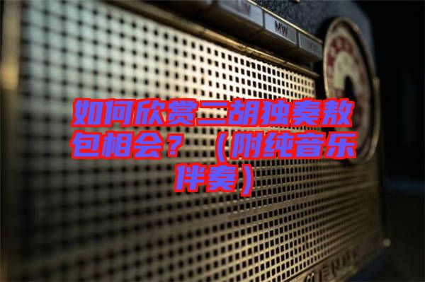 如何欣賞二胡獨奏敖包相會？（附純音樂伴奏）
