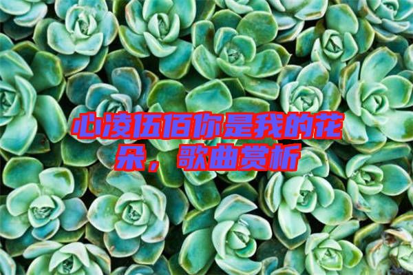 心凌伍佰你是我的花朵，歌曲賞析