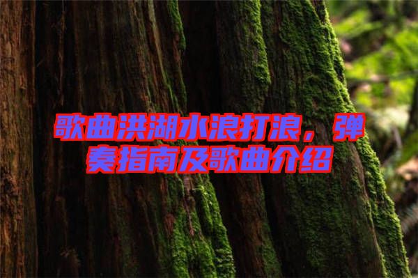 歌曲洪湖水浪打浪，彈奏指南及歌曲介紹